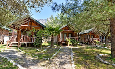 Olive House